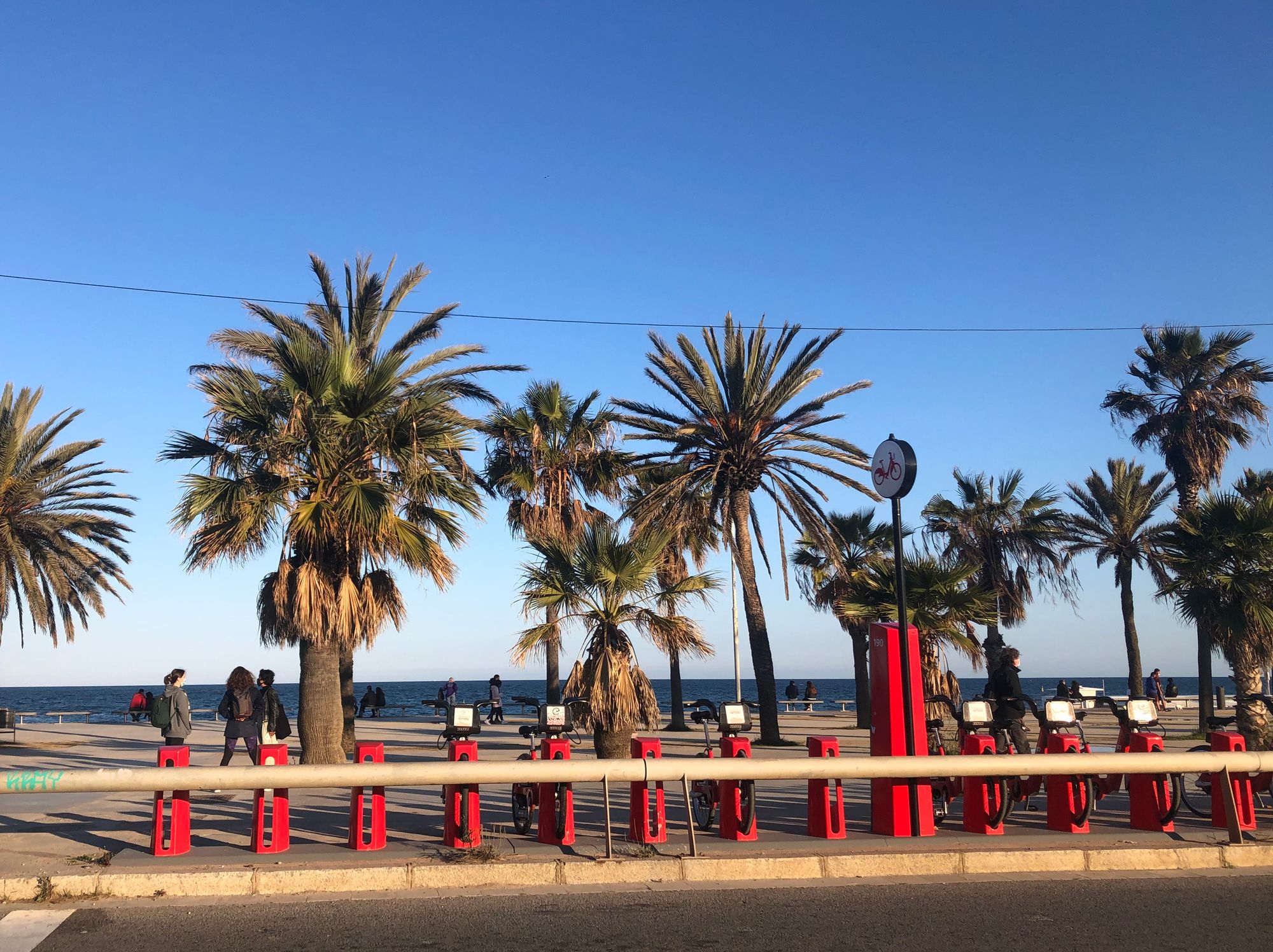 A red Bicing bike dock in front of palm trees on Bogatell beach in Barcelona